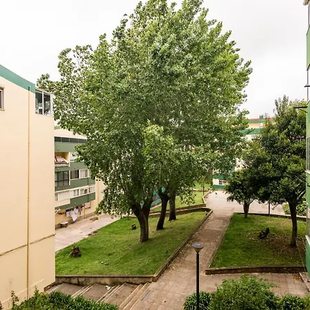 Isabel Dream I, 400m From The Train Rinchoa